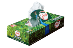 FLORA FACIAL TISSUE 2PLY 100 SHEETS